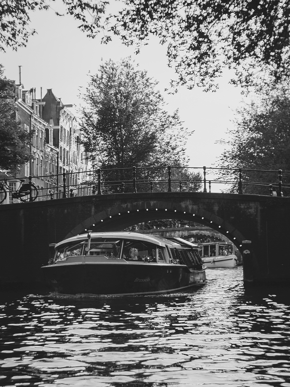 Elite Model Management